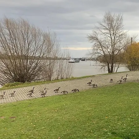 Appartement Nido Vela