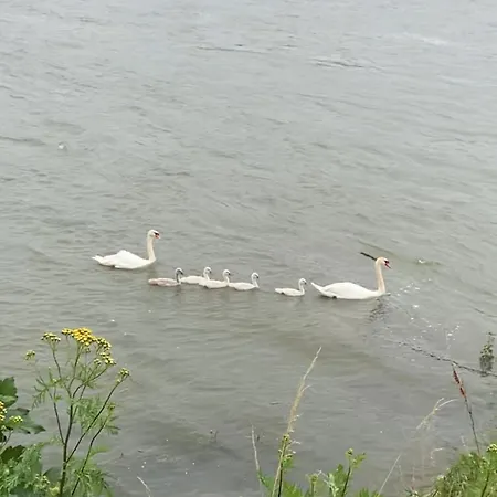 Nido Vela Appartamento *