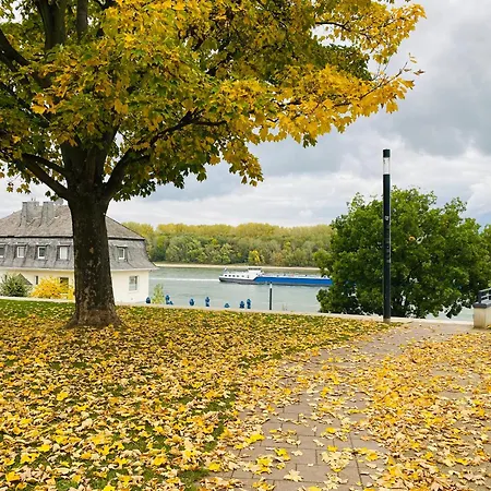 Nido Vela Apartment *