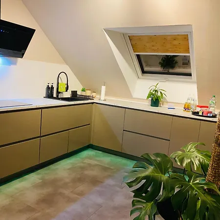 Nido Vela * Wesseling