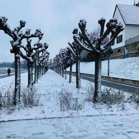 Nido Vela * Wesseling