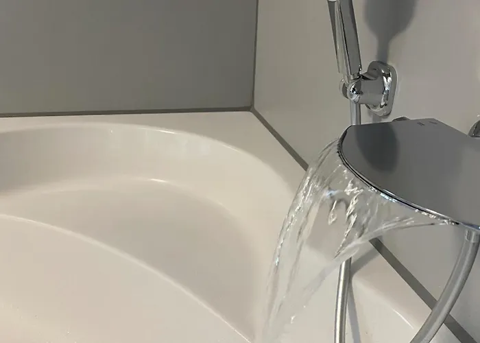 Nido Vela ヴェッセリンク