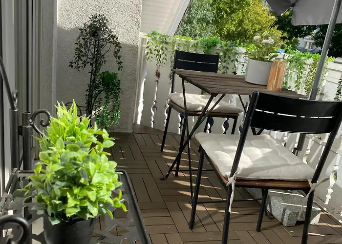 Nido Vela ヴェッセリンク