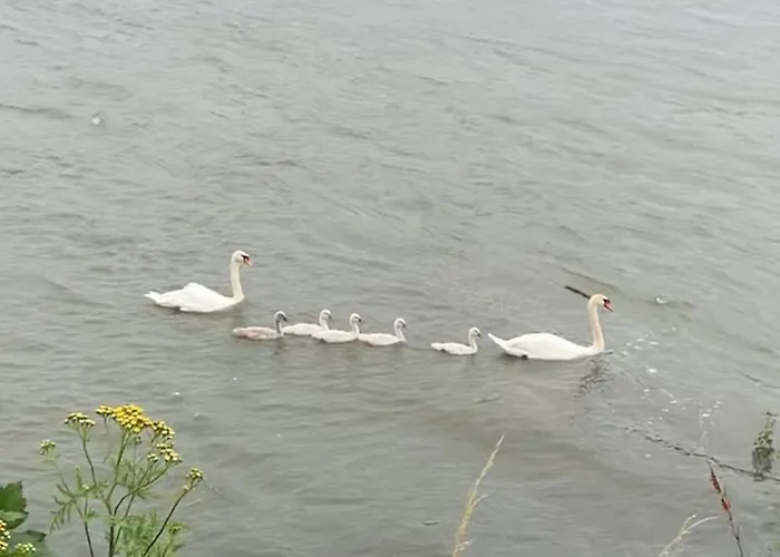 Nido Vela Appartamento *