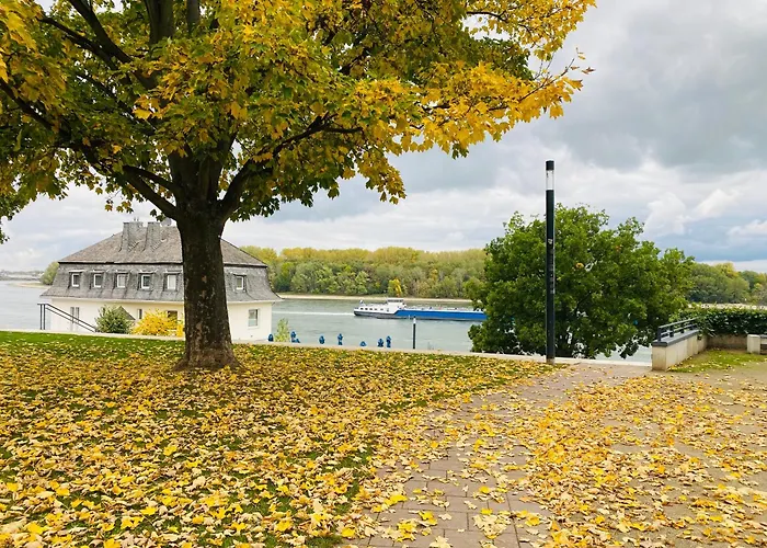 Nido Vela Apartment *