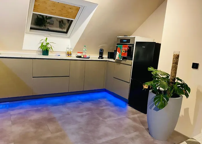 Nido Vela ヴェッセリンク