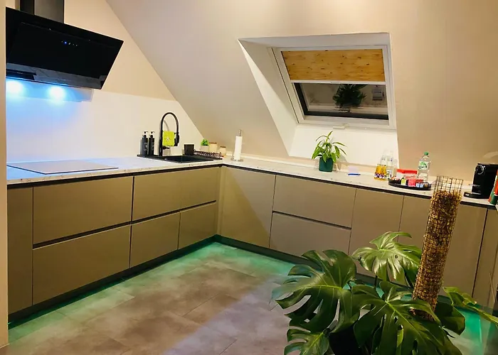 Nido Vela * ヴェッセリンク